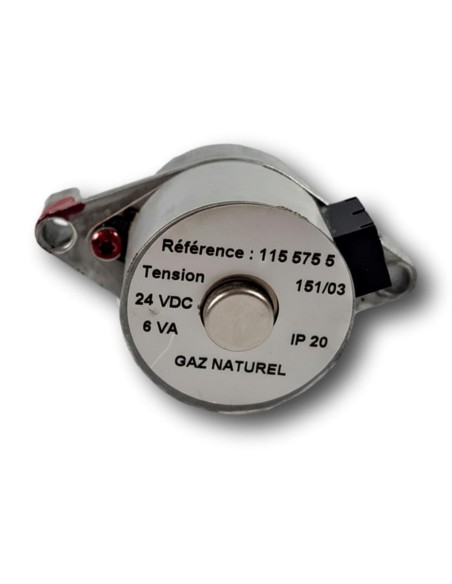 Motor de Válvula de Gas Themaclassic F24 E