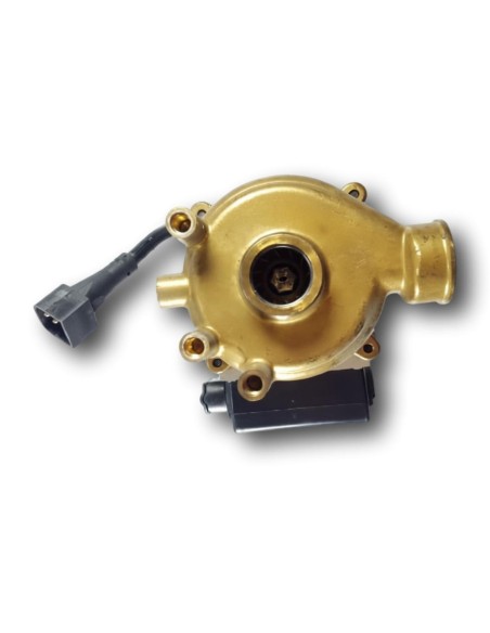 Bomba Circuladora de Manaut GLM5. 13/20