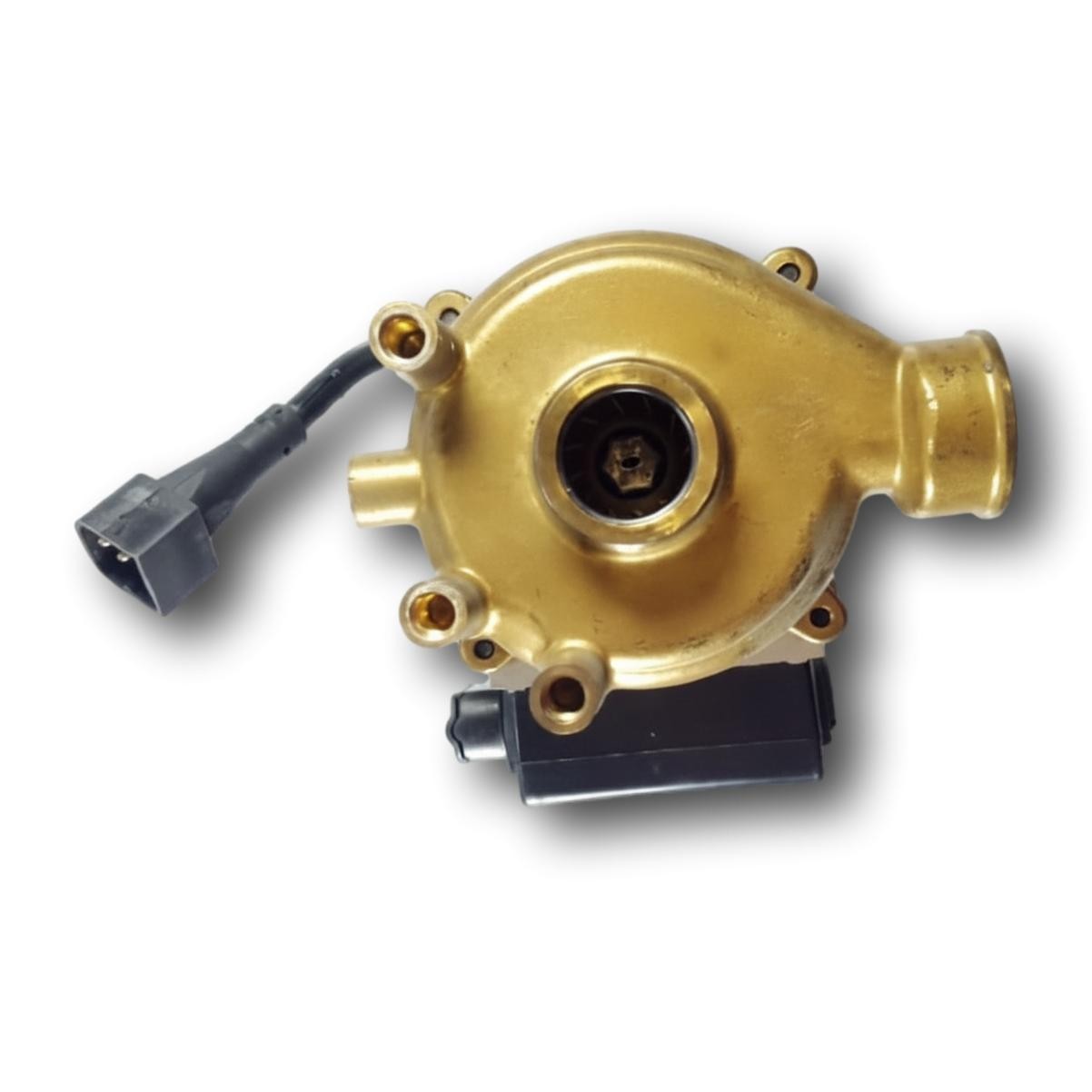 Bomba Circuladora de Manaut GLM5. 13/20