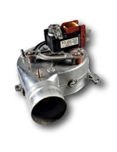 Extractor Roca Sara 24/24 F 2