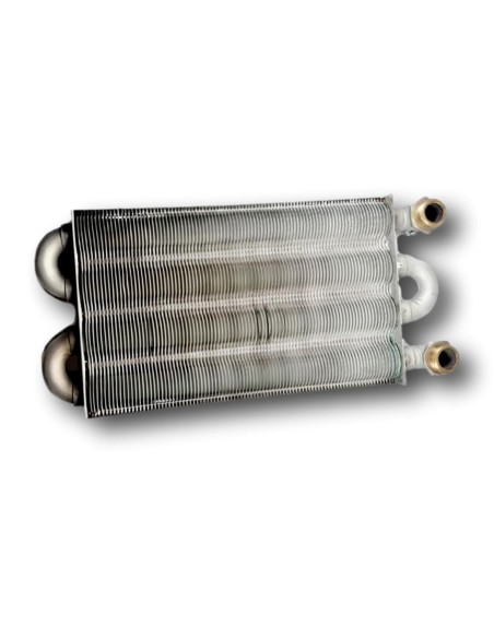 Intercambiador Bitermico Renova Micra 2 24E