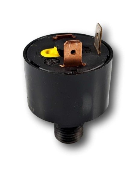 Presostato de Seguridad Roca Victoria 24/24 F