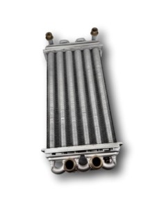 Intercambiador Bitermico Roca Sara 24/24 F 2