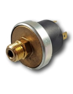 Presostato de Agua Thema Nox F 24 2