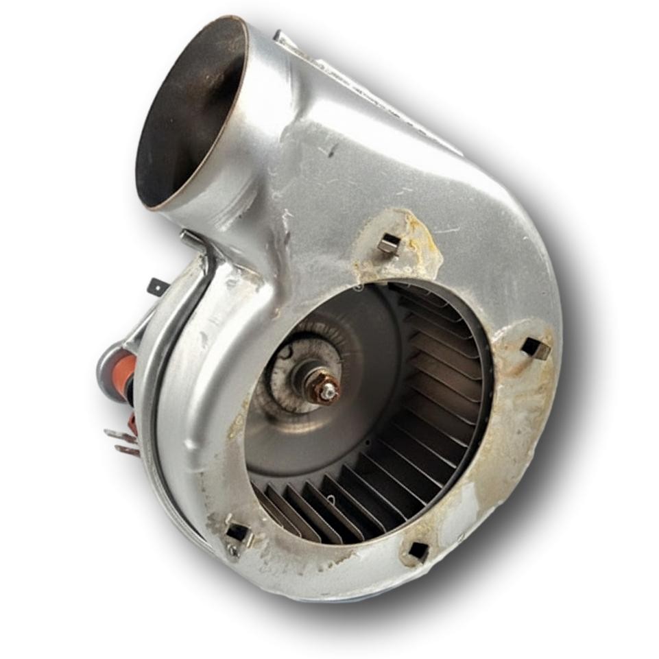 Extractor Domi Projet F 24 D