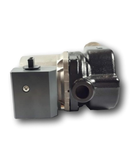 Bomba Circuladora Domina Oasi F 24 E