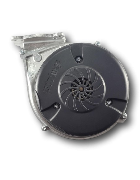 Extractor de Aire Viessman Vitodens 100