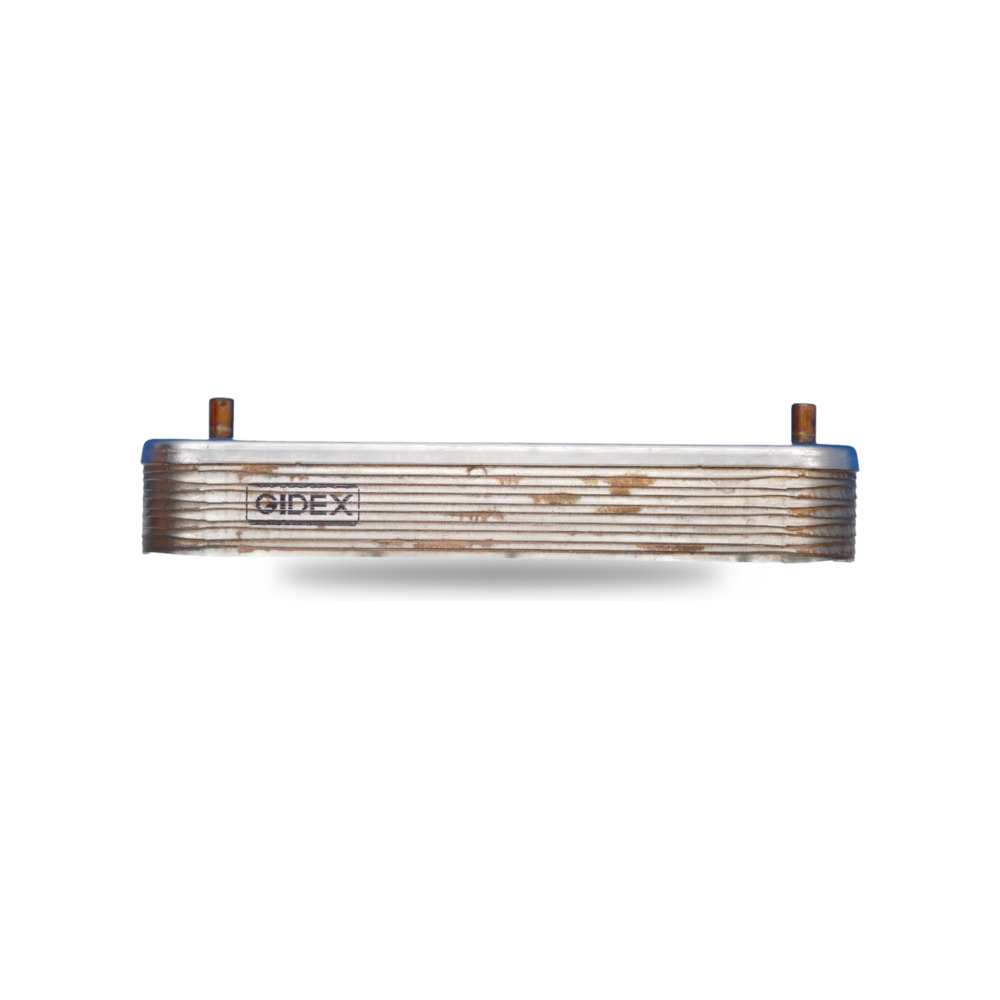 Intercambiador de placas Ferroli Bluhelix Tech RRT 24 Repuesto